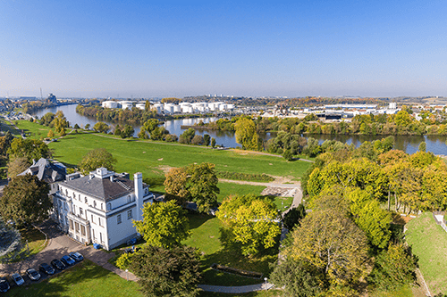 Rollrasen kaufen Rüsselsheim Verna Park