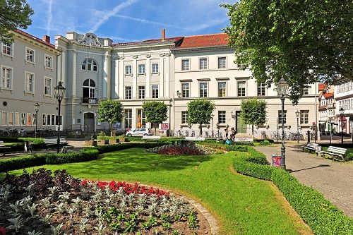 Rollrasen kaufen Göttingen: Universitätscafeteria