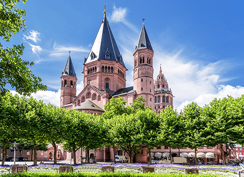 Rollrasen kaufen Mainz St. Martin Dom